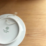 Platte
